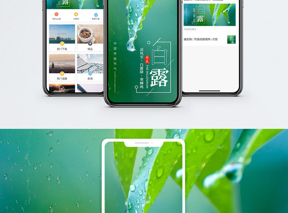 白露节气手机海报配图图片