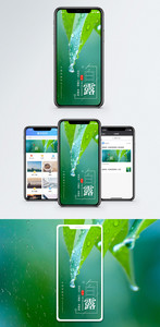 白露节气手机海报配图图片