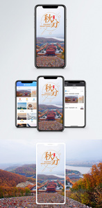 秋分节气手机海报配图图片