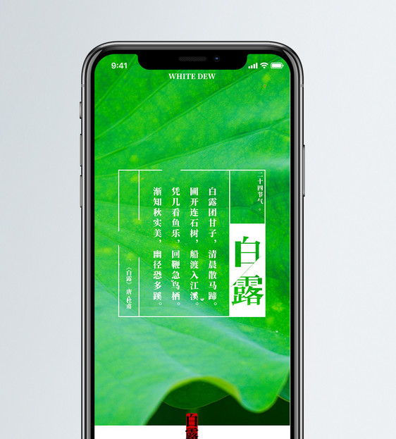 白露手机海报配图图片