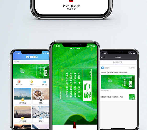 白露手机海报配图图片