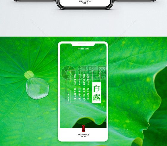 白露手机海报配图图片