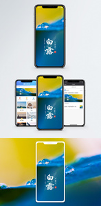 白露手机海报配图图片