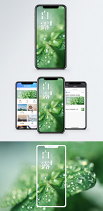 白露二十四节气 手机海报配图图片