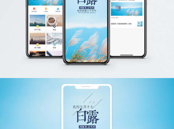 白露手机海报配图图片