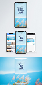 白露手机海报配图图片