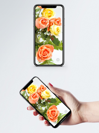 玫瑰手机壁纸图片