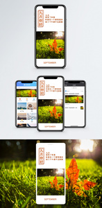 你好九月手机海报配图图片