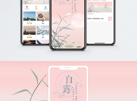 白露手机海报配图图片