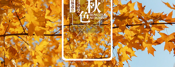 行走的秋色手机海报配图图片