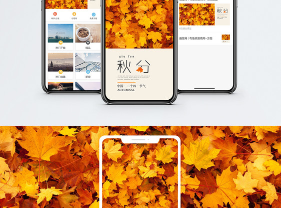 秋分手机海报配图图片