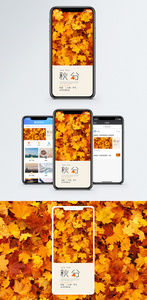 秋分手机海报配图图片