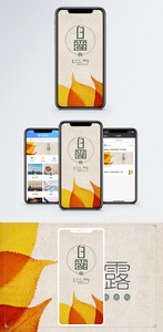 白露节气手机海报配图图片