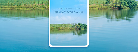 保护湿地手机海报配图图片