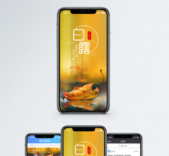 白露手机海报配图图片