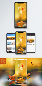 白露手机海报配图图片