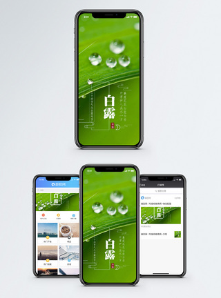 白露手机海报配图图片