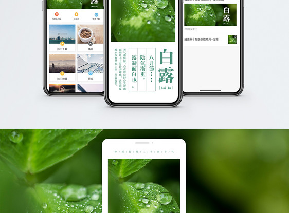 白露手机海报配图图片