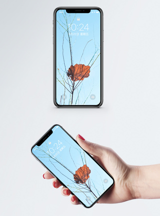 一片叶子手机壁纸模板
