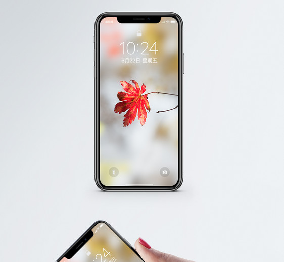 一片红枫叶手机壁纸图片