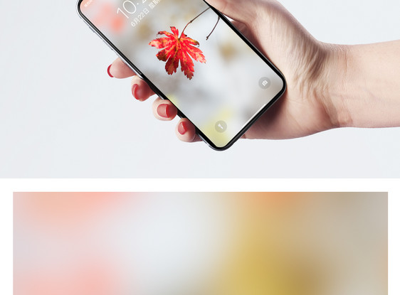 一片红枫叶手机壁纸图片