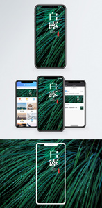 白露手机海报配图图片