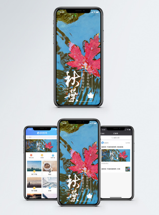 秋叶手机海报配图图片