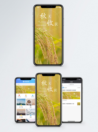 秋收手机海报配图图片