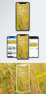 秋收手机海报配图图片