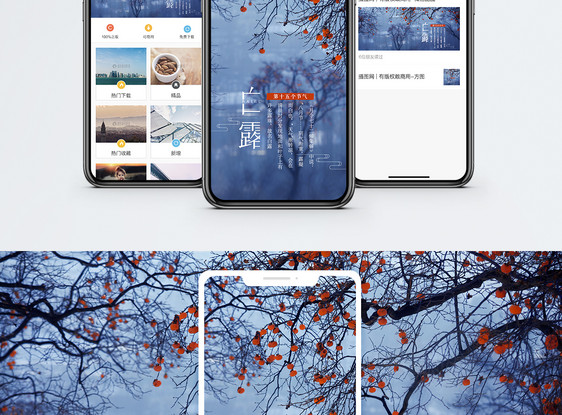 白露手机海报配图图片