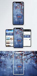 白露手机海报配图图片