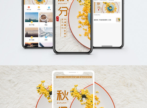秋分手机海报配图图片