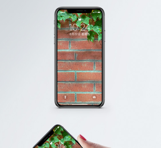 绿植墙壁手机壁纸图片