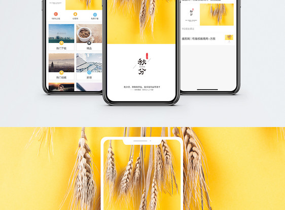 秋分手机配图图片