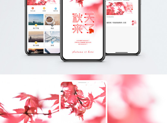 秋天来了手机海报配图图片