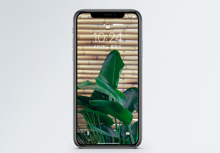 绿色盆栽手机壁纸图片
