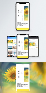 励志日签手机海报配图图片