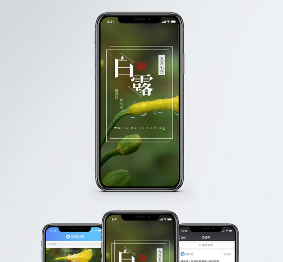 白露手机海报配图图片
