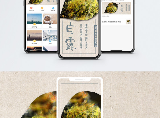 白露手机海报配图图片