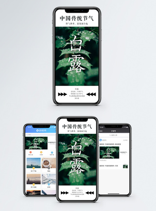 白露手机海报配图图片