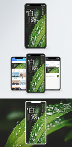 白露手机海报配图图片