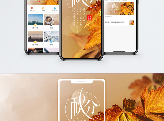 秋分手机海报配图图片