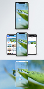 白露手机配图图片