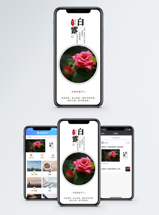 白露手机海报配图图片