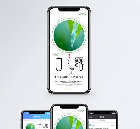 白露手机海报配图图片