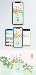 白露手机海报配图图片