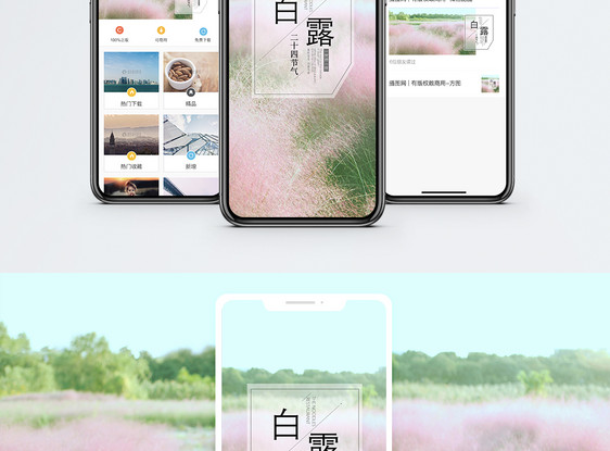 白露手机海报配图图片