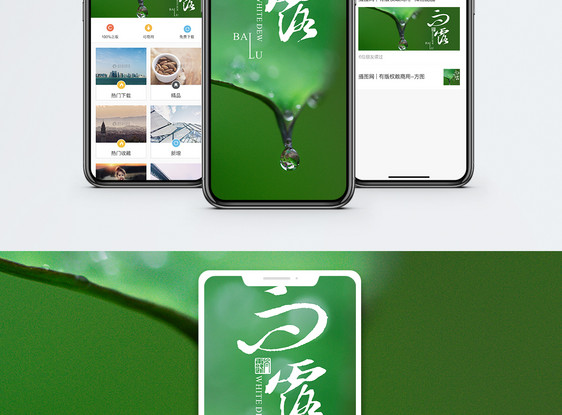 白露绿叶手机海报配图图片