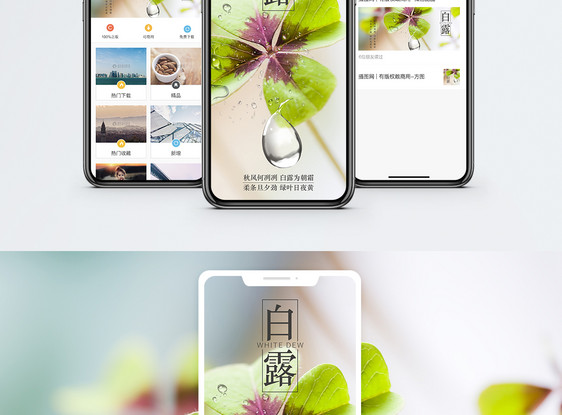 白露手机海报配图图片