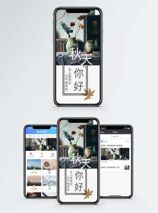 枯叶背景秋天手机海报配图模板